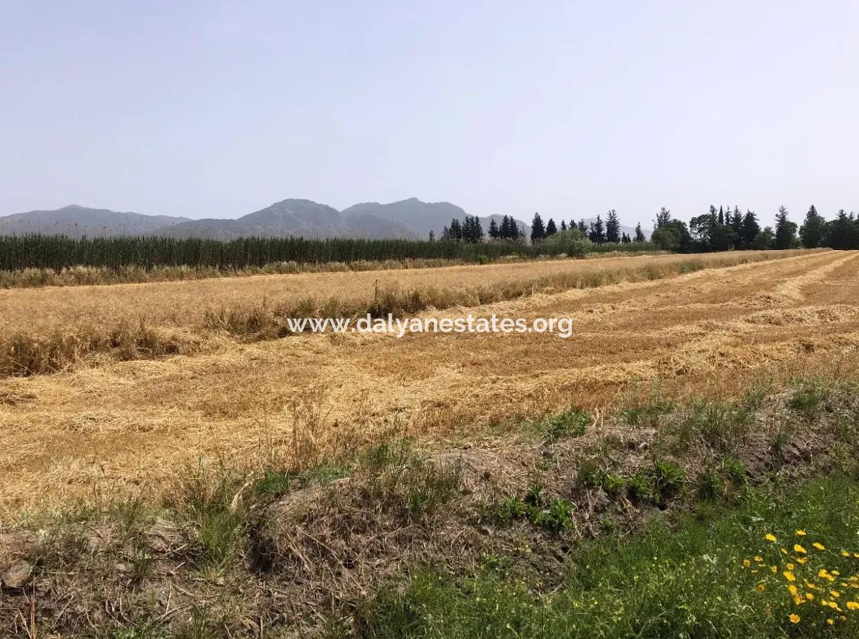 Ackerland Zum Verkauf 39 Hektar In Eskikoy