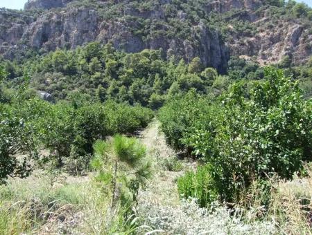 In Dalyan Grundstück Zum Verkauf In Channel Zero