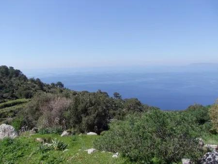 Land Zum Verkauf In Faralya Mit Vollem Meerblick Zum Verkauf