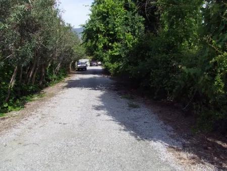 1500M2 Grundstück Zum Verkauf In Dalyan Gulpinar, Dalyan Grundstück Zum Verkauf, 40 Rechts Um Die Ecke