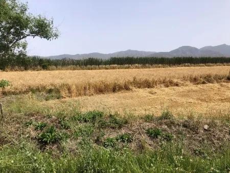 Ackerland Zum Verkauf 39 Hektar In Eskikoy