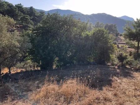 Gökbel Land Zu Verkaufen 1000M2 Land Zum Verkauf Mit Meerblick