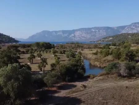 Land Zum Verkauf In 'Aml'da Marmaris 'Aml'da Meerblick 11720M2 Land Zu Verkaufen