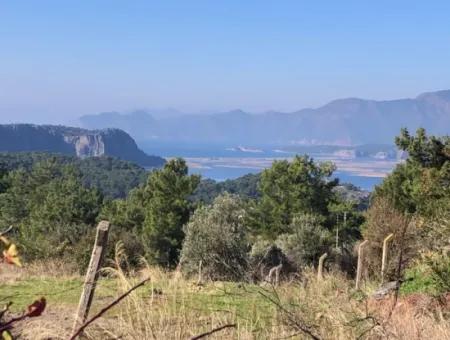 Gokbel Land Zu Verkaufen 8000M2 Land Zum Verkauf Mit Voller Meerblick