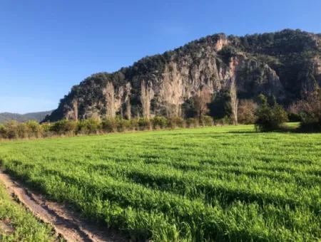 Bogenschützen Land Zu Verkaufen Marmarli 1500M2 Land Zu Verkaufen