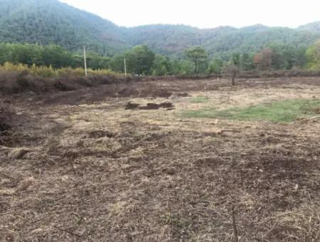 Sultaniye Land For Sale Near 10577M2 Lake Land For Sale