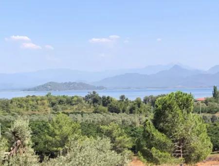 Sultaniye Land For Sale Near 10577M2 Lake Land For Sale