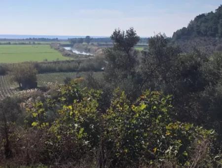 Grundstück Zum Verkauf Mit Meerblick Von Fevziye