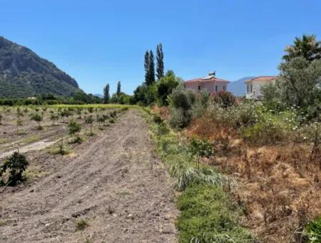 Okçular Land Zum Verkauf In Marmarlı 6500M2