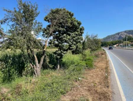 Dalyan Hauptstraße Null Grundstück Zum Verkauf 8115M2 Gewerbegrundstück Zum Verkauf