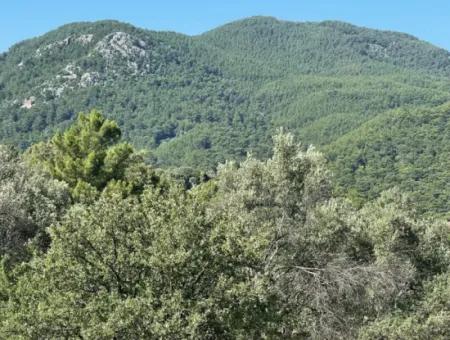 Grundstück Zum Verkauf Mit Meerblick In Gokbel