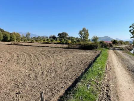 6254M2 Feld Zum Verkauf In Der Nähe Von Dalyan In Eskiköy