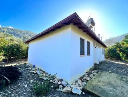 Einstöckiges Haus Zum Verkauf In 5000M2 Grundstück In Çandır