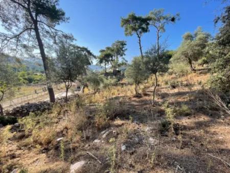 1.320M2 Feld Zum Verkauf Im Zentrum Von Çandır Am Wald