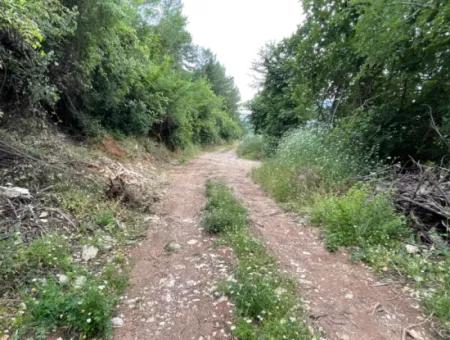 2.528M2 Feld Zum Verkauf In Der Nähe Des Zentrums Von Dalyan