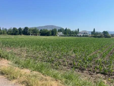 Grundstück Zum Verkauf Von 2715M2 Im Bebauten Gebiet Des Dorfes In Okçular