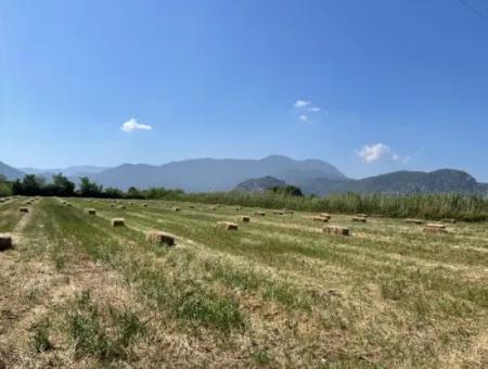 6.500 M2 Feld Zum Verkauf An Der Iztuzu-Straße In Dalyan