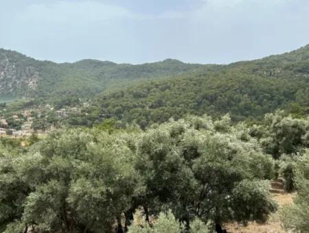 Grundstück Zum Verkauf In Çandır Mit Seeblick