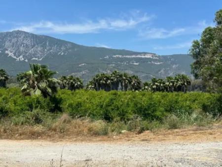 13.500 M2 Straßenfeld Zum Verkauf In Akyaka Akçapınar