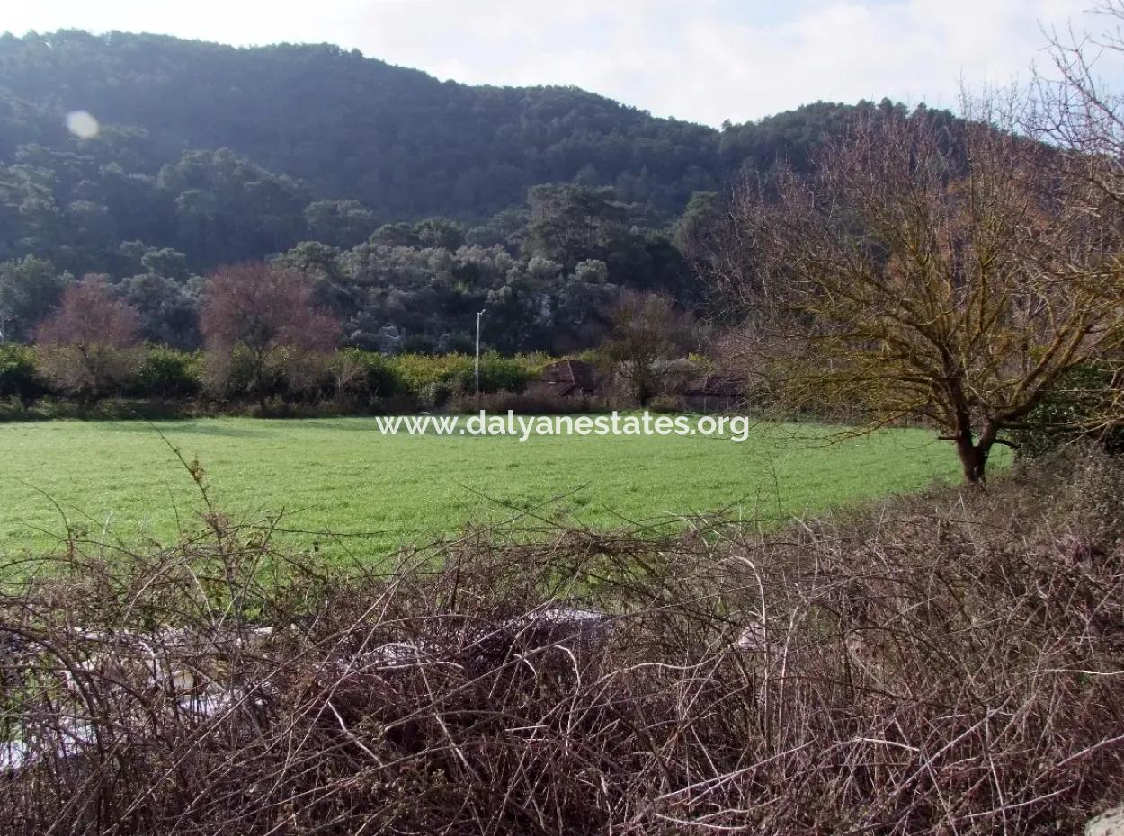 For Sale In Koycegiz, Dalyan Plot For Sale 10629M2