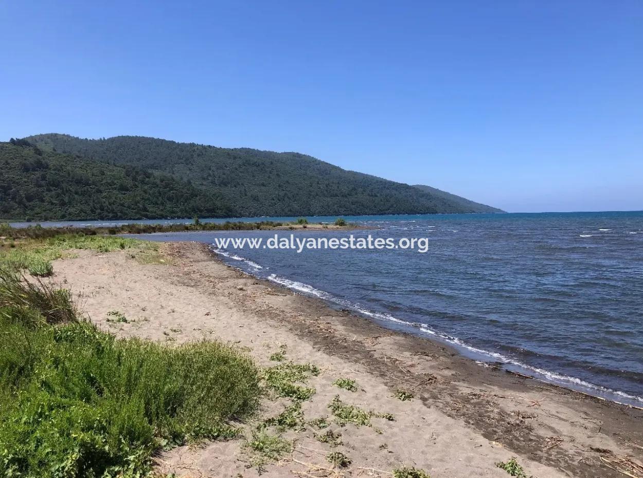 Garden For Sale In Gokce Akyaka, Near The Sea, A 38,000M2 Plot For Sale