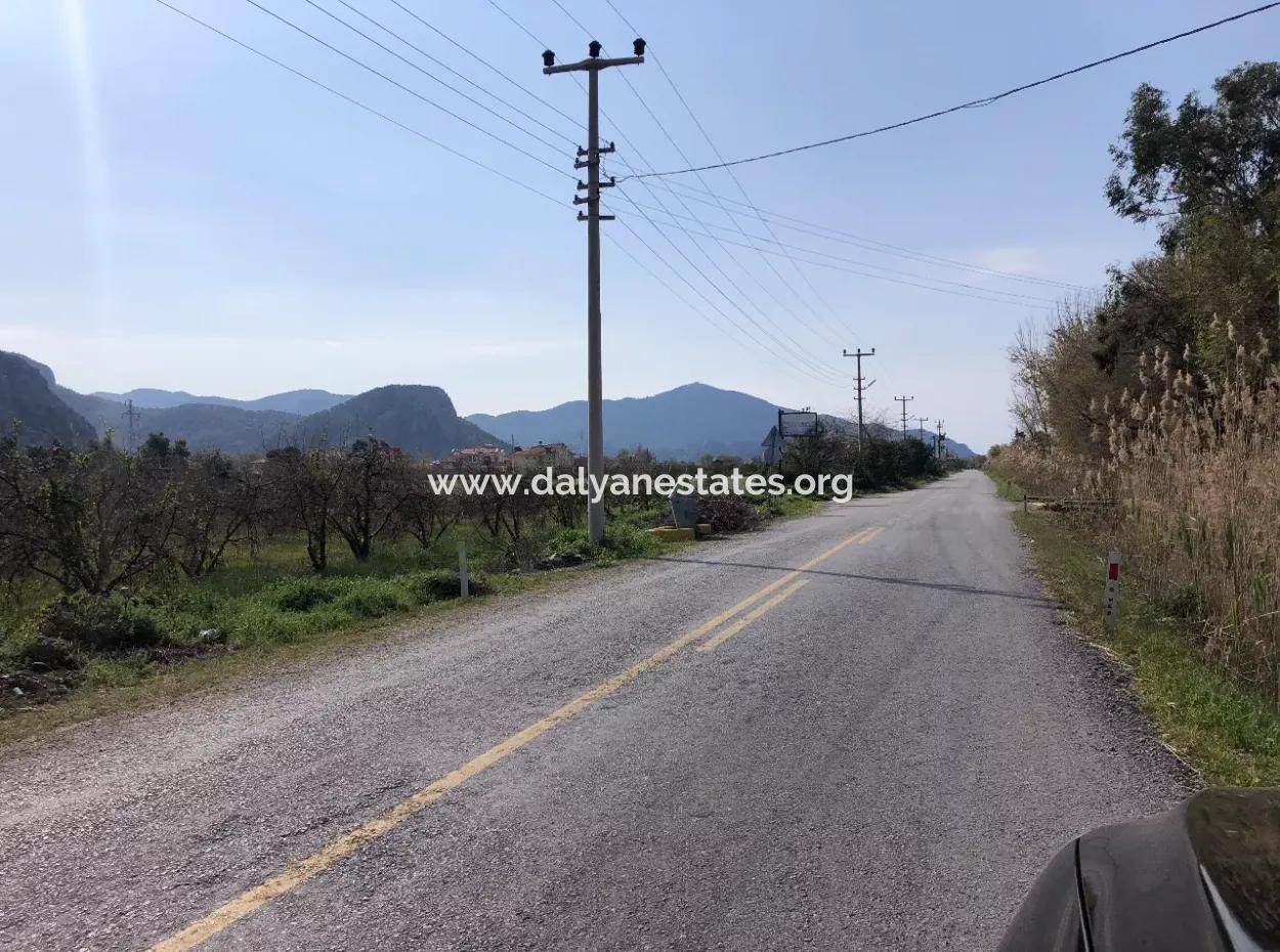 5500M2 Land For Sale In Dalyan