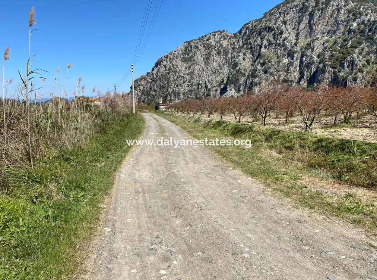 9310M2 Land For Sale In Dalyan