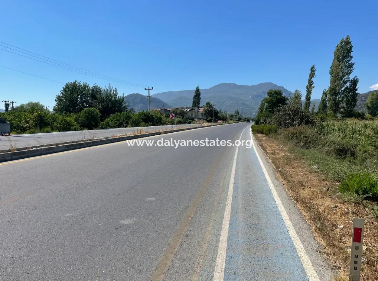 Dalyan Main Road Zero Land For Sale 8115M2 Commercial Land For Sale