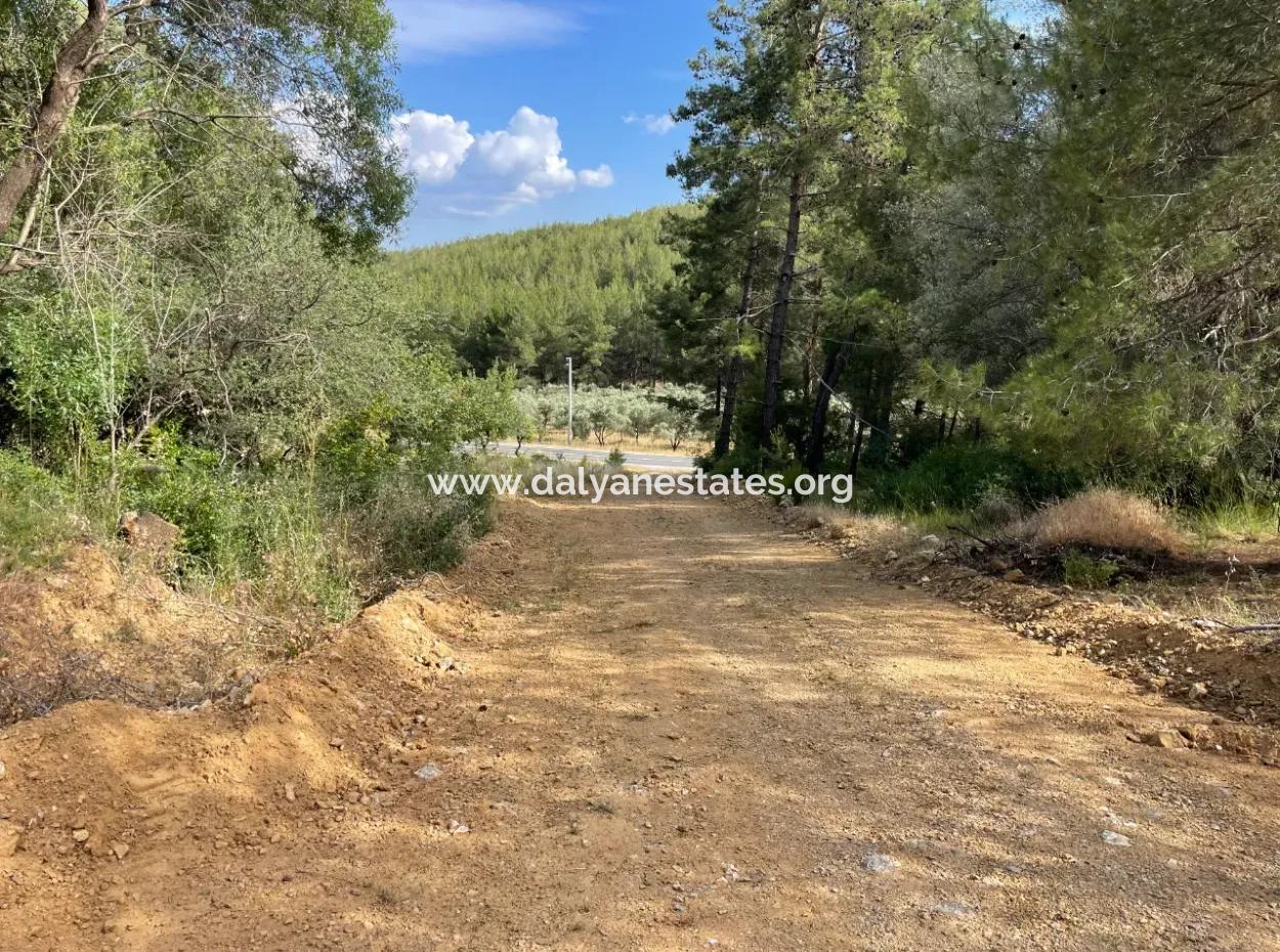 Land For Sale In Ula Armutchuk With 501M2 Zoning