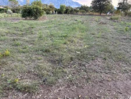 7,450M2 Land For Sale Close To The Center Of Dalyan