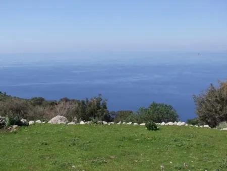 For Sale In Faralya Faralya With Sea View And 11,286M2 Land For Sale Tourism