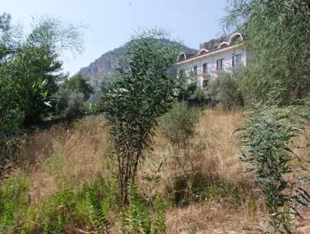 Land For Sale In Gocek Fethiye Göcekde 2017M2 Land For Sale With Full Sea View