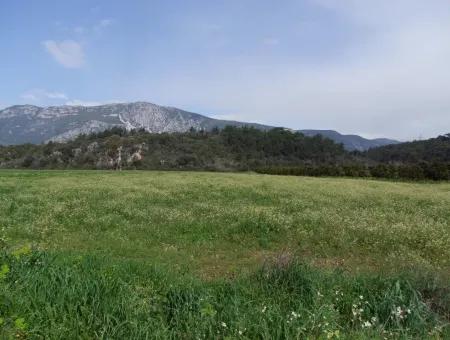 In Akyaka For Sale: Land For Sale Farm For Sale A Farm Near The Sea Of Ars, Yatirimlik 21625M2