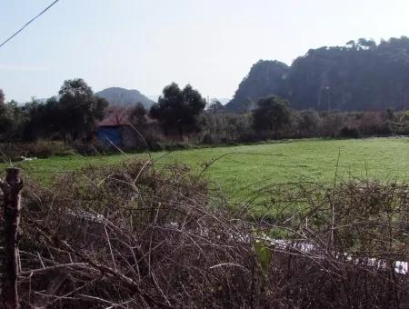 For Sale In Koycegiz, Dalyan Plot For Sale 10629M2