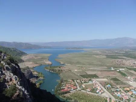 Maras In Dalyan For Sale Dalyan 7300M2 %5 Land Plot For Sale