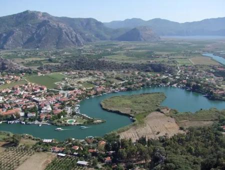 Maras In Dalyan For Sale Dalyan 7300M2 %5 Land Plot For Sale