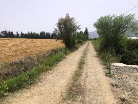 Farm Land For Sale 39 Acres In Eskikoy