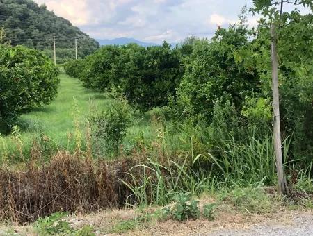 722M2 Plot For Sale In Dalyan Gülpınar For Sale