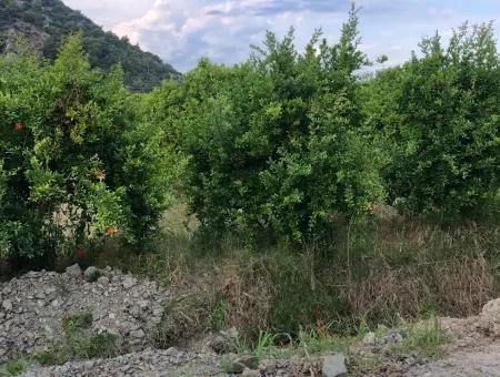 722M2 Plot For Sale In Dalyan Gülpınar For Sale