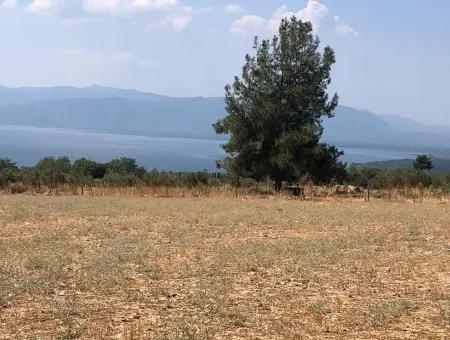 11.227M2 Land For Sale With Lake Views In Köyceğiz Zeytinalanı