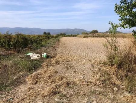 Land For Sale In Esköy 8500M2 Field Land For Sale