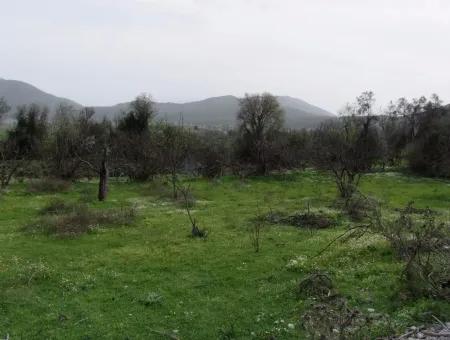 In Incirkoy Uzumlu Fethiye Plot For Sale Farm For Sale In Incirkoy