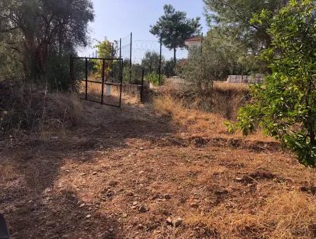 Land Field For Sale In Köyceğinz Yangi 9406M2 Land For Sale