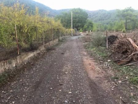 Sultaniye Land For Sale Near 10577M2 Lake Land For Sale