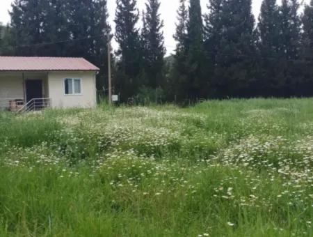 Land For Sale In Çamlida