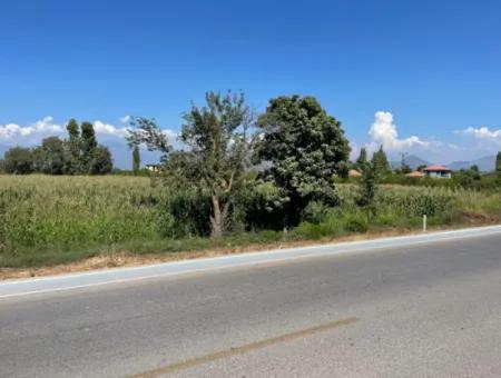 Dalyan Main Road Zero Land For Sale 8115M2 Commercial Land For Sale