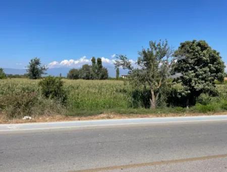 Dalyan Main Road Zero Land For Sale 8115M2 Commercial Land For Sale