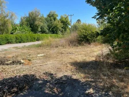 1000M2 Land For Sale In Dalyan Gülpinar Corner