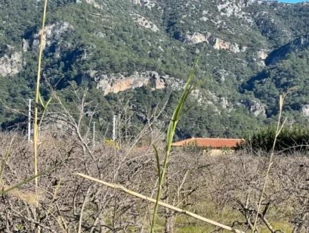 Dalyan Iztuzu Road Zero 5216M2 Field Plot For Sale