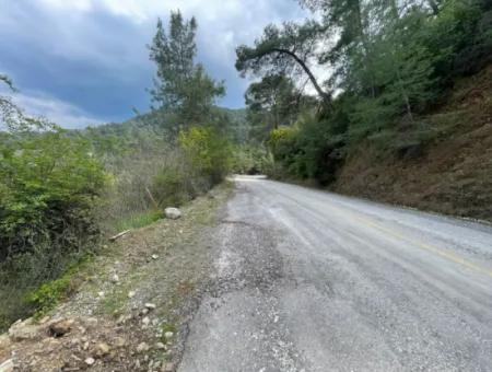 5000M2 Field For Sale At The Beginning Of The Road In Çandır